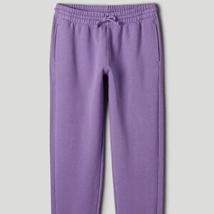 Aritzia Cozy Fleece Boyfriend Pant